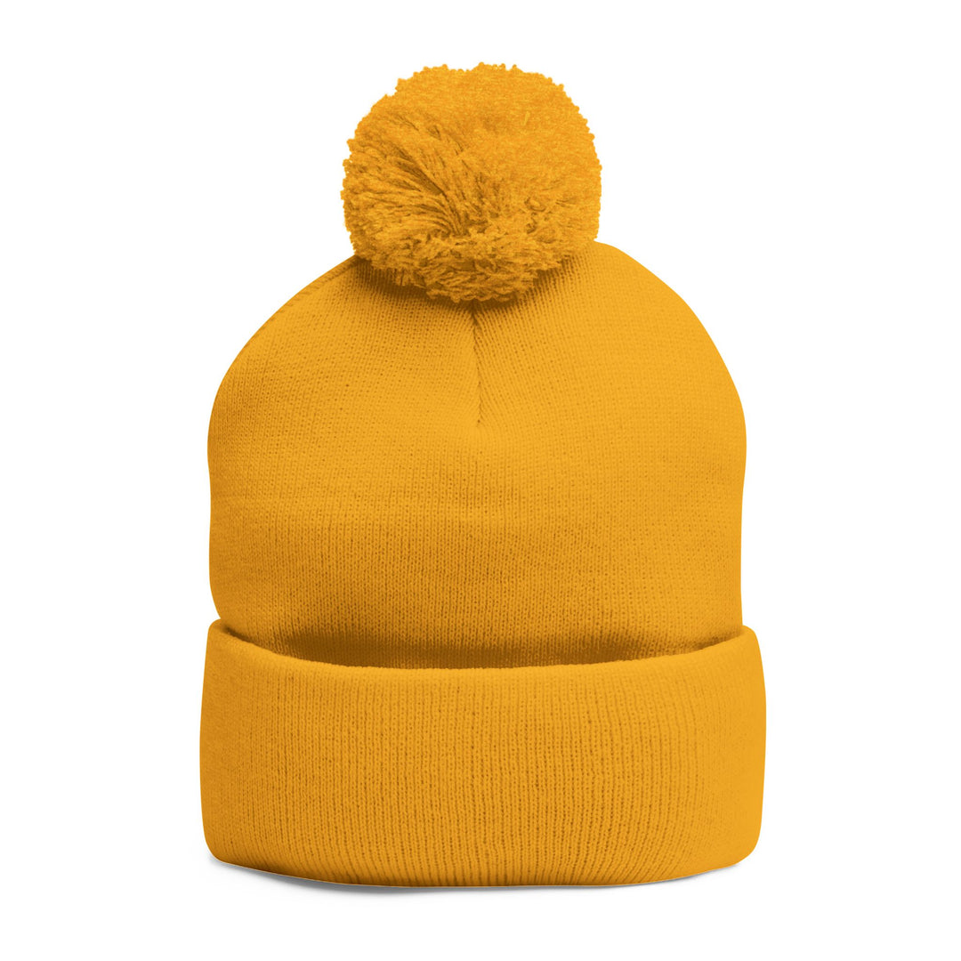 Cozy Pom-Pom Knit Cap | Embroidered Beanie, Winter Accessory, Gifts for Her, Ski Hat, Trendy Knitwear