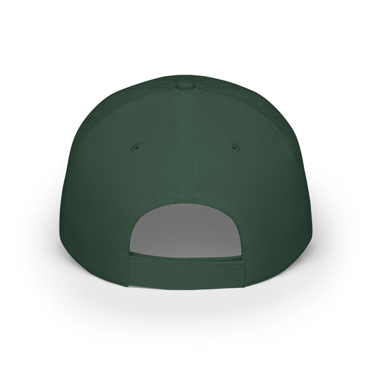 Stylish Low Profile Baseball Cap, Adjustable Cap, Casual Hat, Summer Accessory, Perfect Gift for Sports Lovers