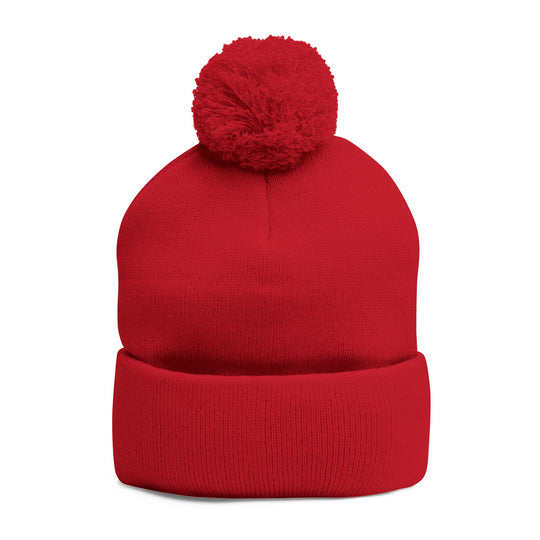 Cozy Pom-Pom Knit Cap | Embroidered Beanie, Winter Accessory, Gifts for Her, Ski Hat, Trendy Knitwear