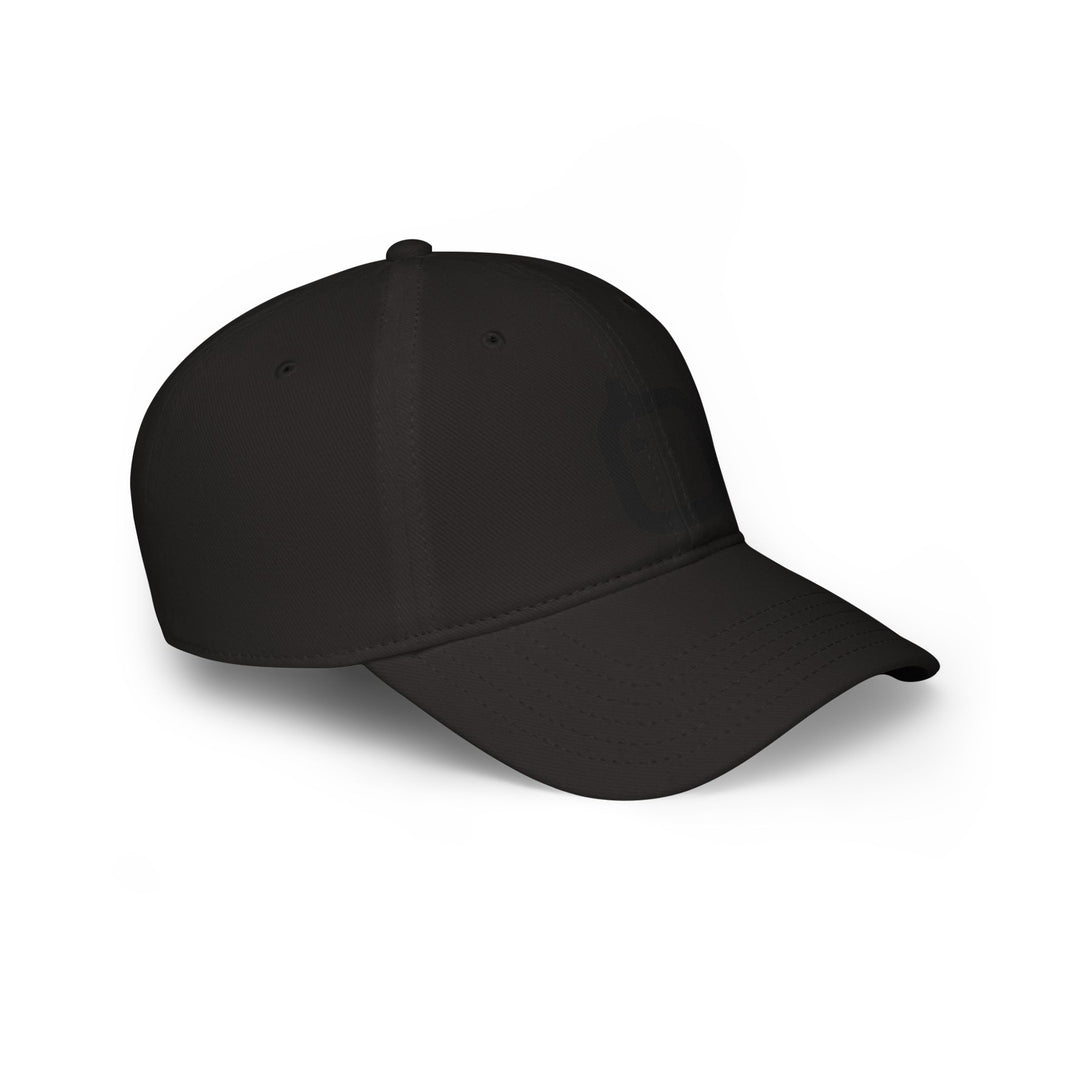 Stylish Low Profile Baseball Cap, Adjustable Cap, Casual Hat, Summer Accessory, Perfect Gift for Sports Lovers
