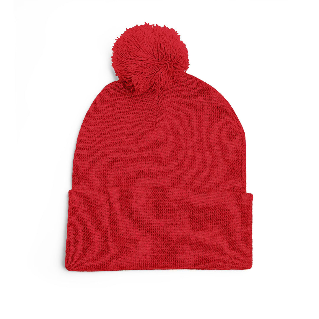 Cozy Pom-Pom Knit Cap | Embroidered Beanie, Winter Accessory, Gifts for Her, Ski Hat, Trendy Knitwear
